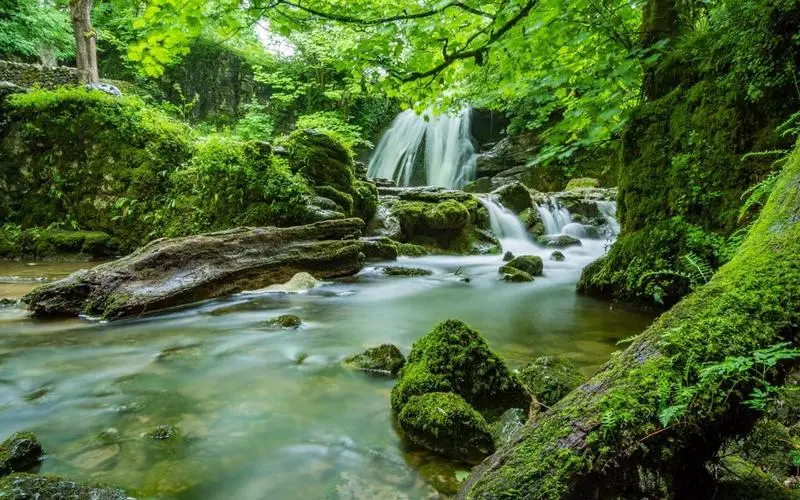 绿色高端高性能